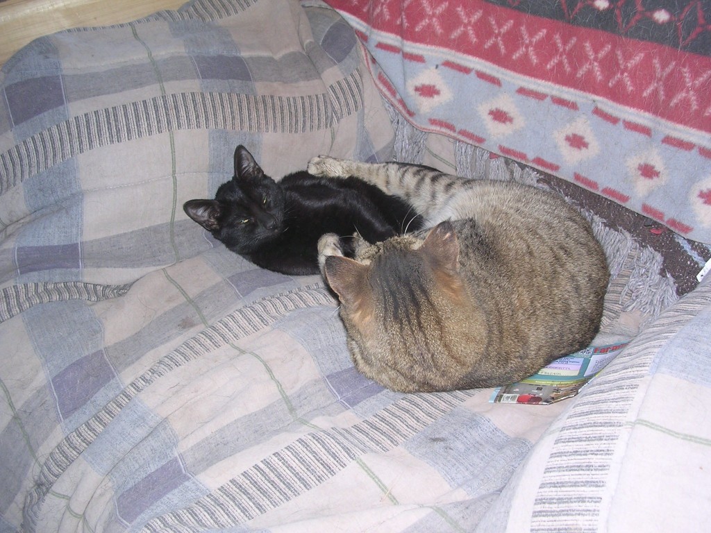 Stop touching me!