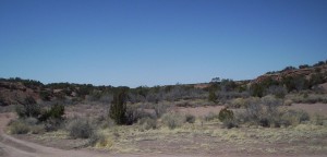 It's such a beautiful day, I expect Mr. Rogers to bumble into the mine field any minute.