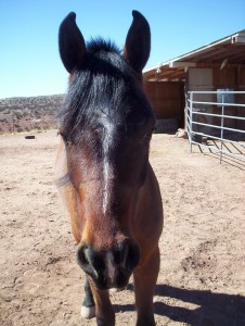 He's a little booger.