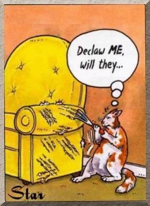 declawed-cartoon