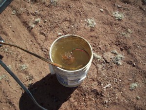 Having cleaned up the pump inlet and cut away the crimped pipe, stick the pump in a bucket of water and see if it works.