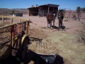 Whatcha doin', Uncle Joel?