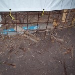 Percy the Imperiled Packrat thanks you.