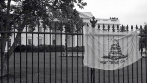 shutdowngadsdenwhitehouse