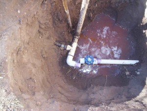 That black flexible pipe sticking out of the ground goes 500' up the ridge and connects to the manifold at the cistern tank on high ground. Lots of other parts of this installation have given me trouble, but this hasn't. It drops almost exactly fifty feet, according to GPS. I don't get a lot of volume, but I do have good pressure. And the flexible bit makes inserting components into rigid pipe a lot easier than it usually is.