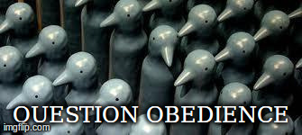 questionobedience