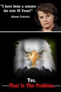 551346_155107601332447_2130974766_n