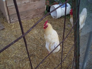 That one. Right there. He's toast.