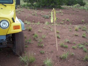 That's the 400-yard range marker. Playing through!
