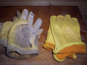 New Gloves! Even the right type and size!