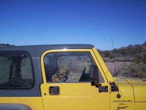 Naw, I'm just making sure nobody steals it. But, um, if you wanted to go for a ride...