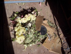 You may be sure I was wearing gloves and a mask as I sorted through this pile of crap looking for my shinies.