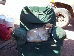 That's his "you suck" face.