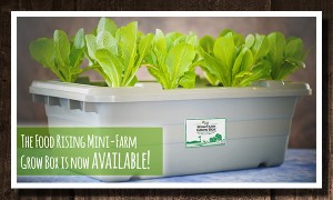 Mini-Farm-Grow-Box-Index-600x360
