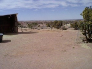 Avalon's corral, where I have waded ankle-deep in mud and shit more times than I care to remember. You wouldn't think I'd be sentimental about it, would you?