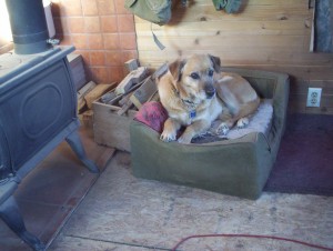 You're wondering what that fourth slice of Spam is for, aren't you? So are the boys, who hope they know.