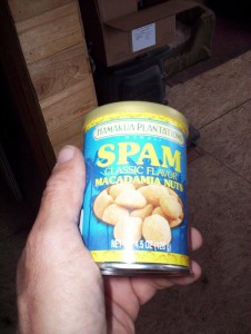 spam