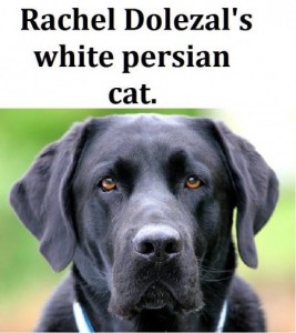 RachelDsCat_FromBrianW_061715-450x505