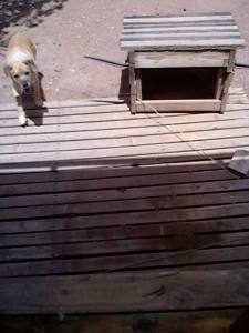 Watch that first step, Uncle Joel.