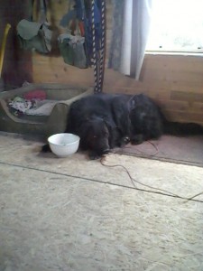 LB likes baking day.