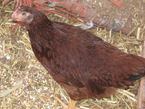 Where's the barrier? The barrier is gone!