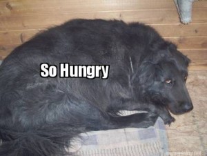 so hungry
