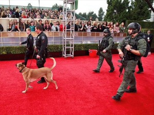 If I really want that dog to take a dump on that carpet, does it make me a bad person?