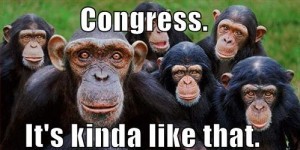 congress