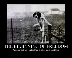 beginningoffreedom