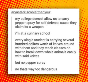 cool-pepper-spray-culinary-school
