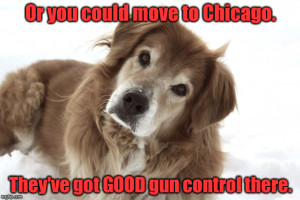good_gun_control
