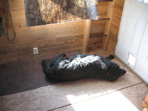 Blow, evening breeze. Blow.