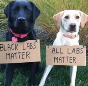 alllabsmatter