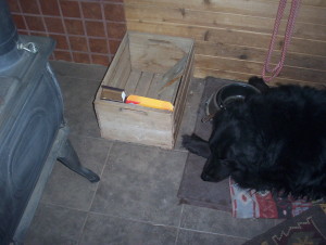 100_1566
