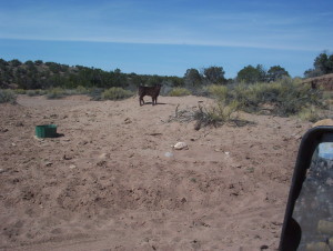 100_1653