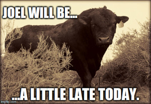 latejoel2