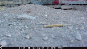 1626:123017:63F:0000:TUAK1   :3E[128:0129]G[008:0x0006]