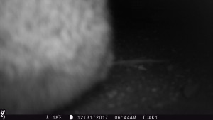 0644:123117:18F:0000:TUAK1   :3E[202:0005]G[008:0x0006]