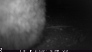 0644:123117:18F:0000:TUAK1   :3E[201:0005]G[008:0x0006]