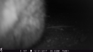 0644:123117:18F:0000:TUAK1   :3E[204:0004]G[008:0x0006]