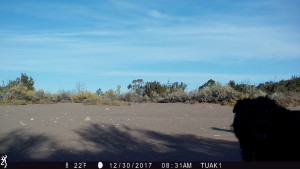 0831:123017:22F:0000:TUAK1   :3E[197:0006]G[008:0x0006]