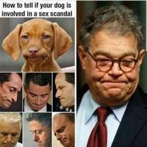 dogscandal