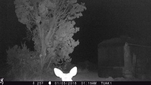 0119:010518:25F:0000:TUAK1   :5E[079:1078]G[072:0x00f6]