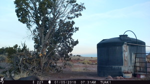 0731:010518:22F:0000:TUAK1   :5E[126:0140]G[008:0x0006]