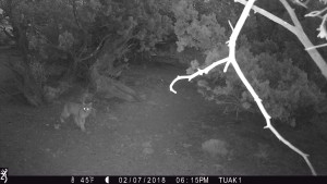 1815:020718:45F:0000:TUAK1   :6E[087:0762]G[040:0x0036]