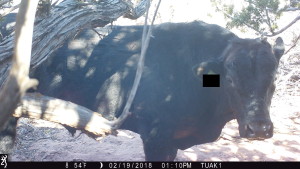 "What is that thing?"