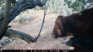 1651:021718:54F:0000:TUAK1   :1E[140:0076]G[008:0x0006]