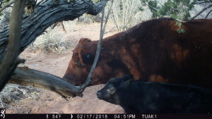 1651:021718:54F:0000:TUAK1   :1E[140:0076]G[008:0x0006]