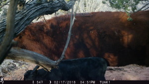 1651:021718:54F:0000:TUAK1   :1E[140:0076]G[008:0x0006]