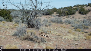 1108:030818:63F:0000:TUAK1   :6E[202:0005]G[008:0x0006]